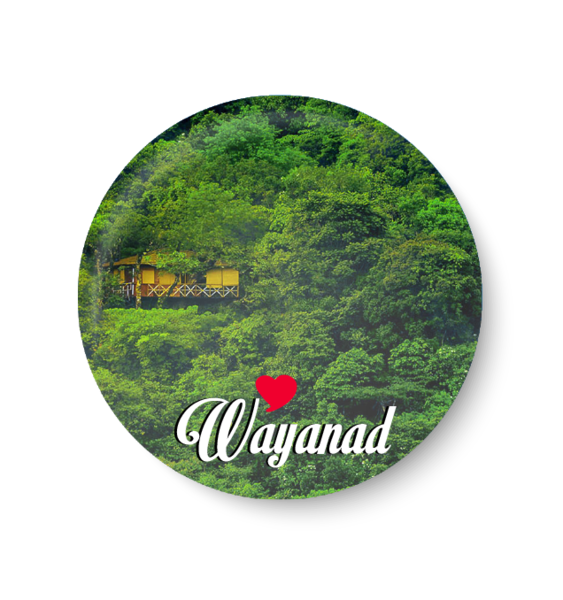 Love Wayanad I Pin Badge – Peacockride