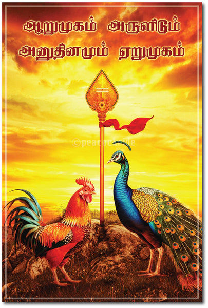 Lord Kandhan I Arumugam Arulidum I Murugan Quote I Tamil I Lord Murugan I Vel I Wall Poster / Frames